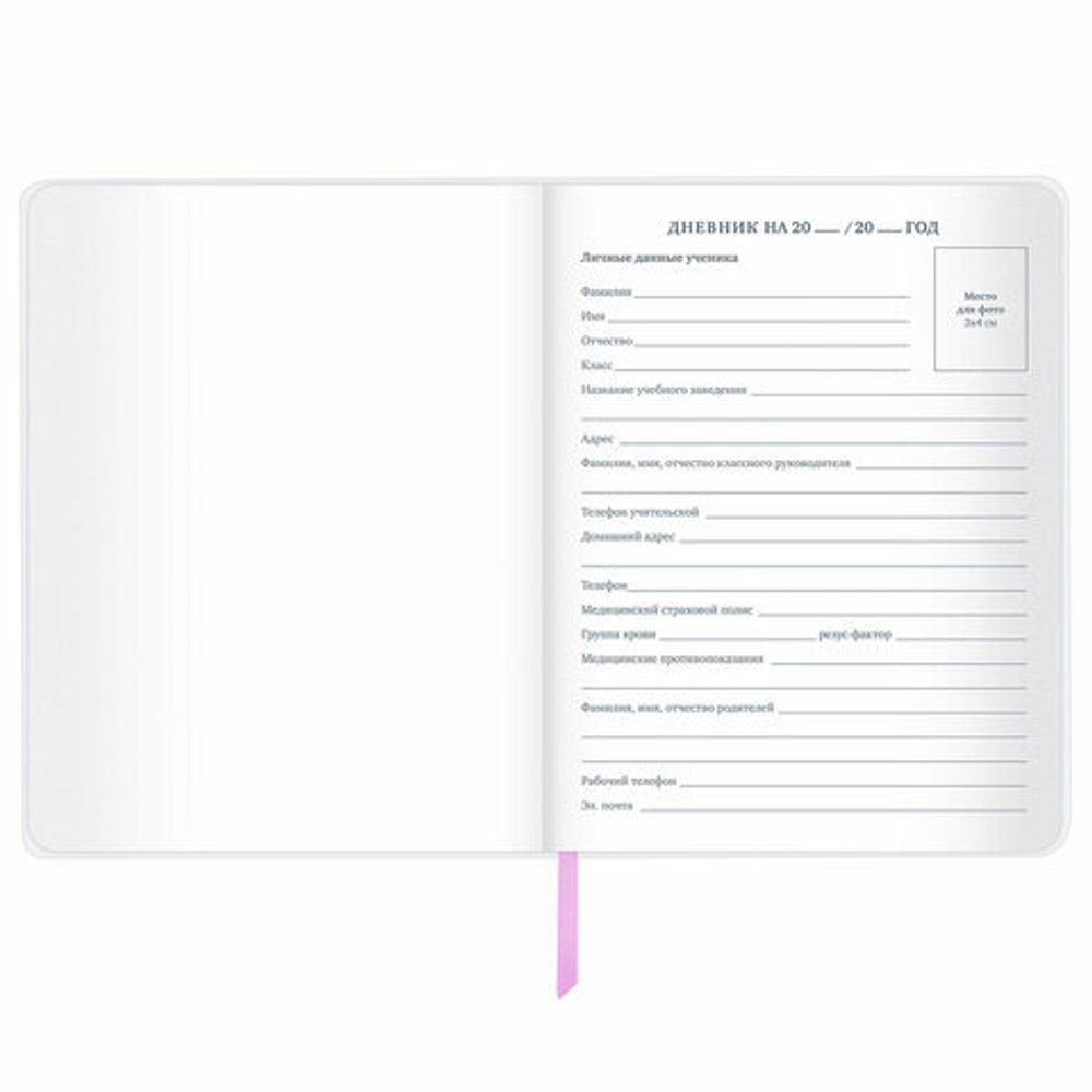 Дневник 1-11 класс 48 л., кожзам (гибкая), печать, фольга, BRAUBERG, "Marble", 106178