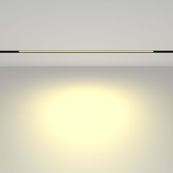 Трековый светодиодный светильник Maytoni Technical Basis TR030-2-24W2.7K-B