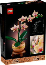 LEGO Botanical Collection 10343 Мини-орхидея — декоративный конструктор для взрослых