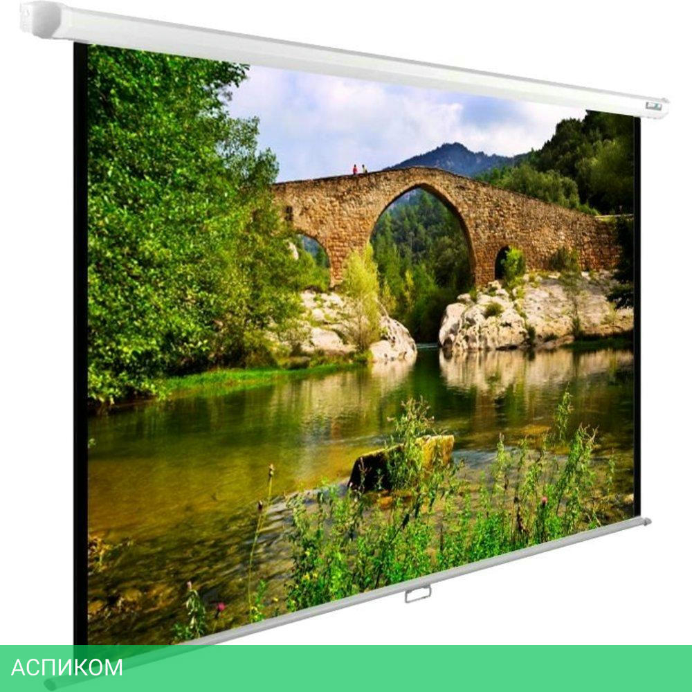 Проекционный экран Cactus WallExpert белый (CS-PSWE-220x165-WT)