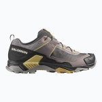 Кроссовки Salomon X Ultra 5 cloudburst/black/willow