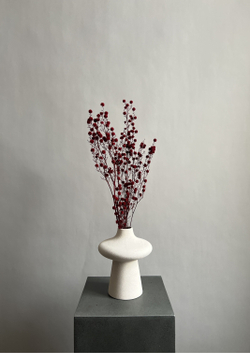 Стилингия красная