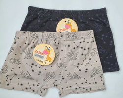 Боксер МАЛЬЧИК Н3049