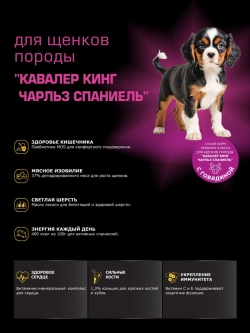 Корм для щенков Кавалер кинг чарльз спаниель говядина 12 кг