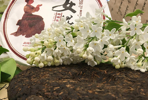 Пуэр Высший сорт №5 (2016 г провинция Юньнань, Menghai Chunfeng Tea Factory) 5 лет РЧК 357г