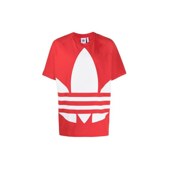 Adidas originals Bg Trefoil Tee Logo T