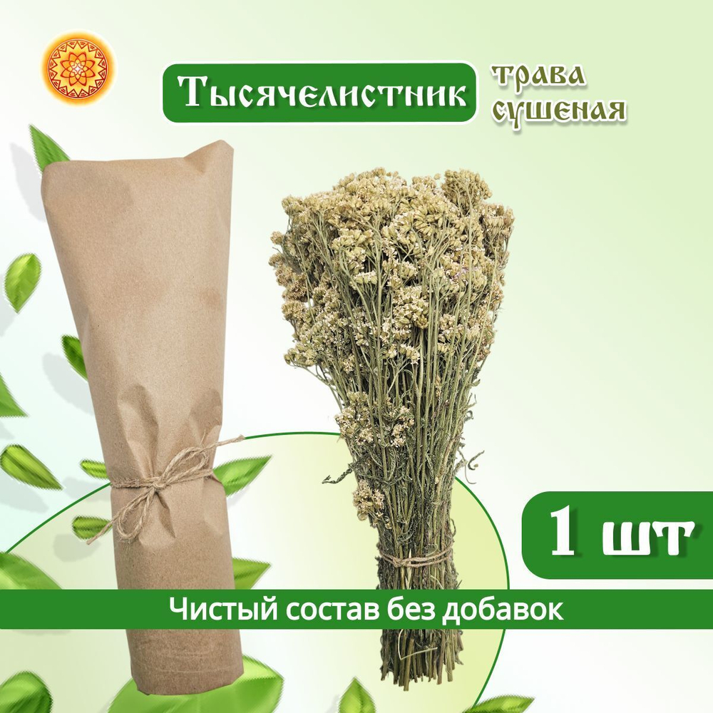 Тысячелистник пучок.