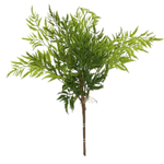 Папоротник птерис 43 см