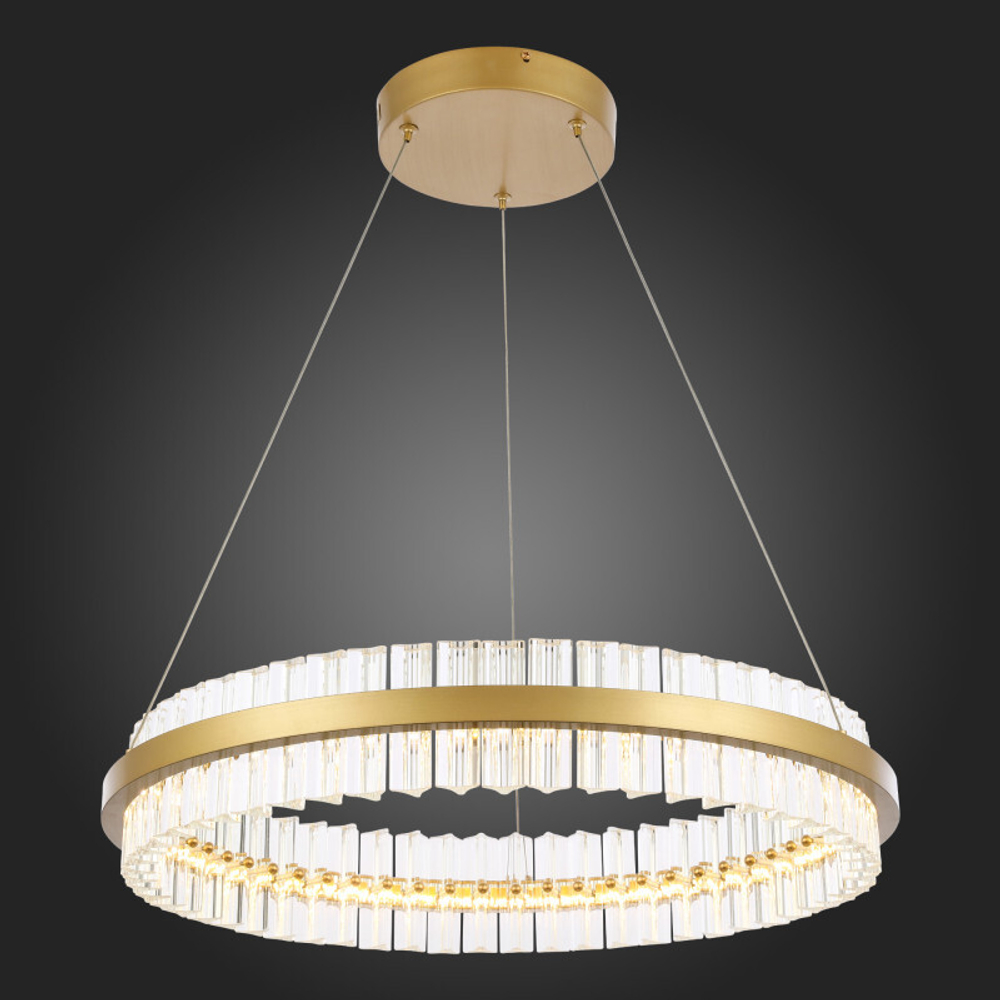 Подвесная люстра ST-Luce SL383.213.01