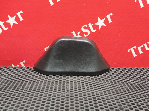 Накладка зеркала левого 2019г.