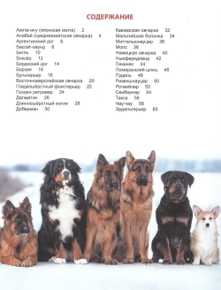 ЭНЦИКЛОПЕДИЯ ДЛЯ ДЕТЕЙ новые. СОБАКИ