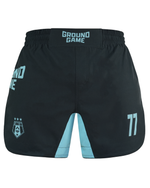 Шорты Ground Game MMA FC ARMBAR мятные