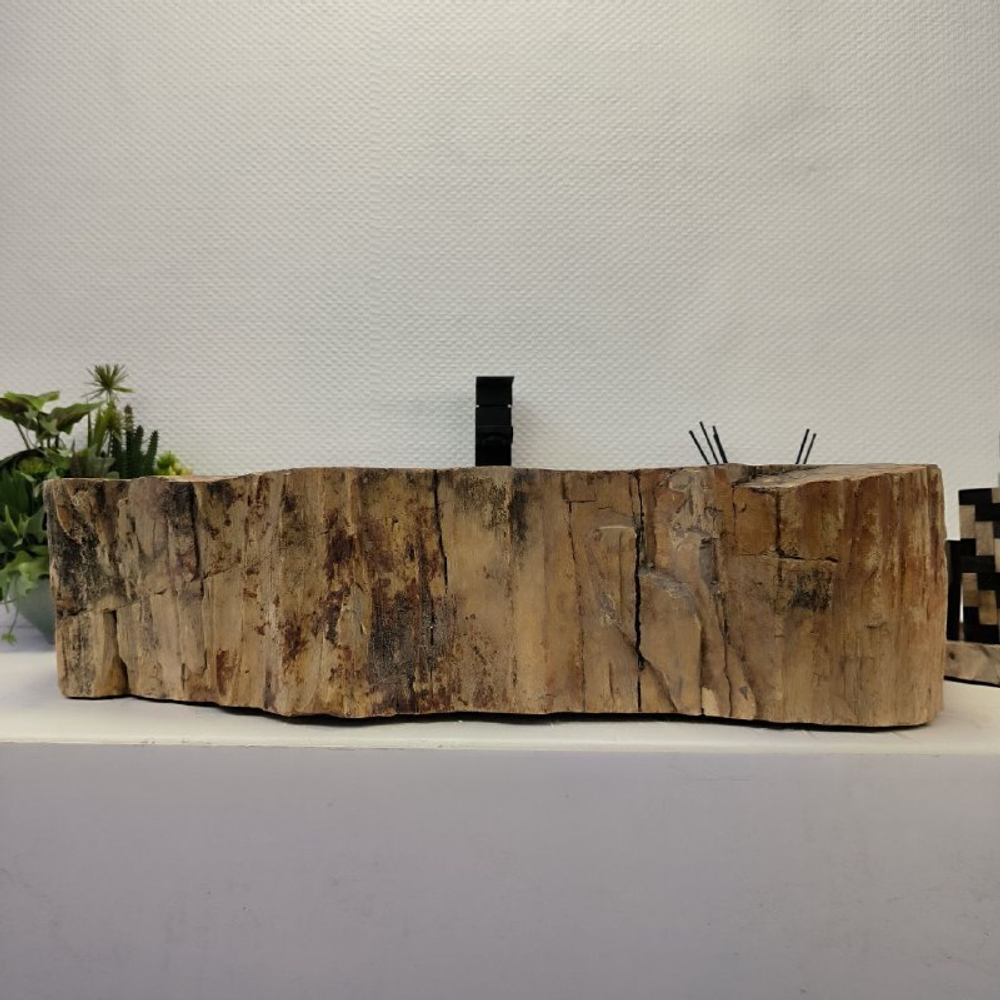 Раковина из окаменелого дерева 67*54*16