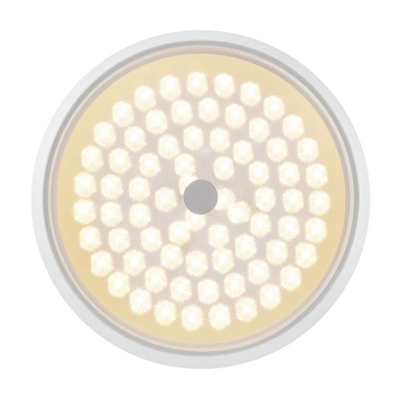 Потолочный светодиодный светильник Freya Cells FR10012CL-L24W