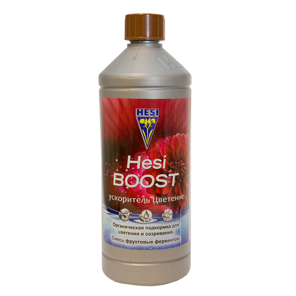 Hesi Boost