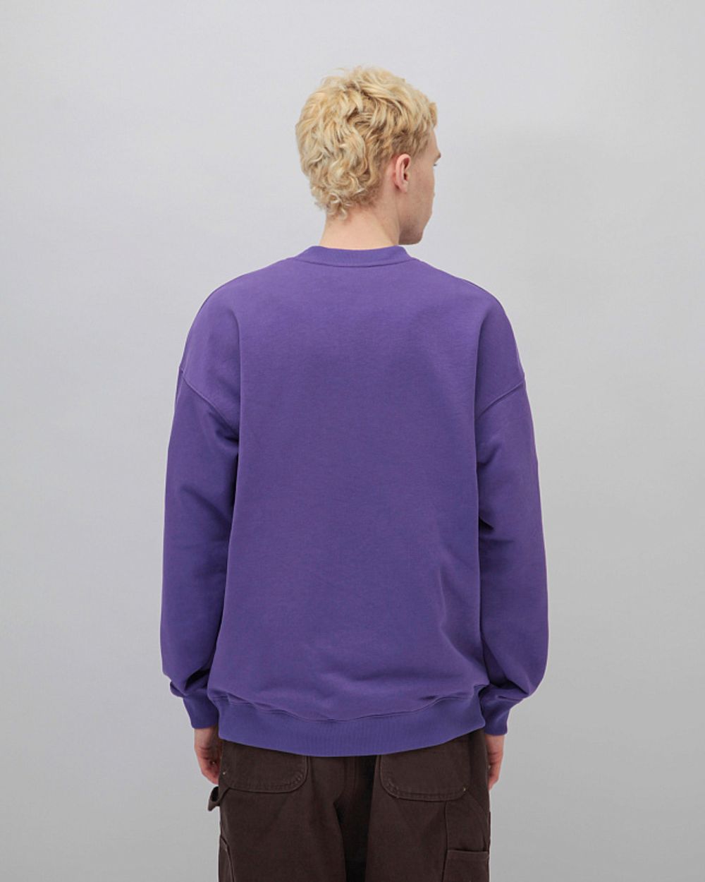 Толстовка Anteater Crewneck Streetwear Violet