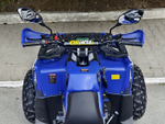 LION 200R синий