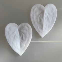 Вайнер лист Каладиума ClayCraft by DECO™