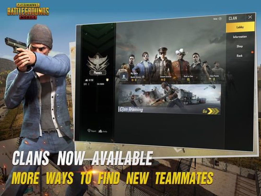 Игровая валюта PUBG Mobile 3000 + 850 UC [Цифровая версия]