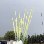 СУ0502512 Дневной веерный салют "PIROFF Fireworks" (1,2" х 25 залпов)
