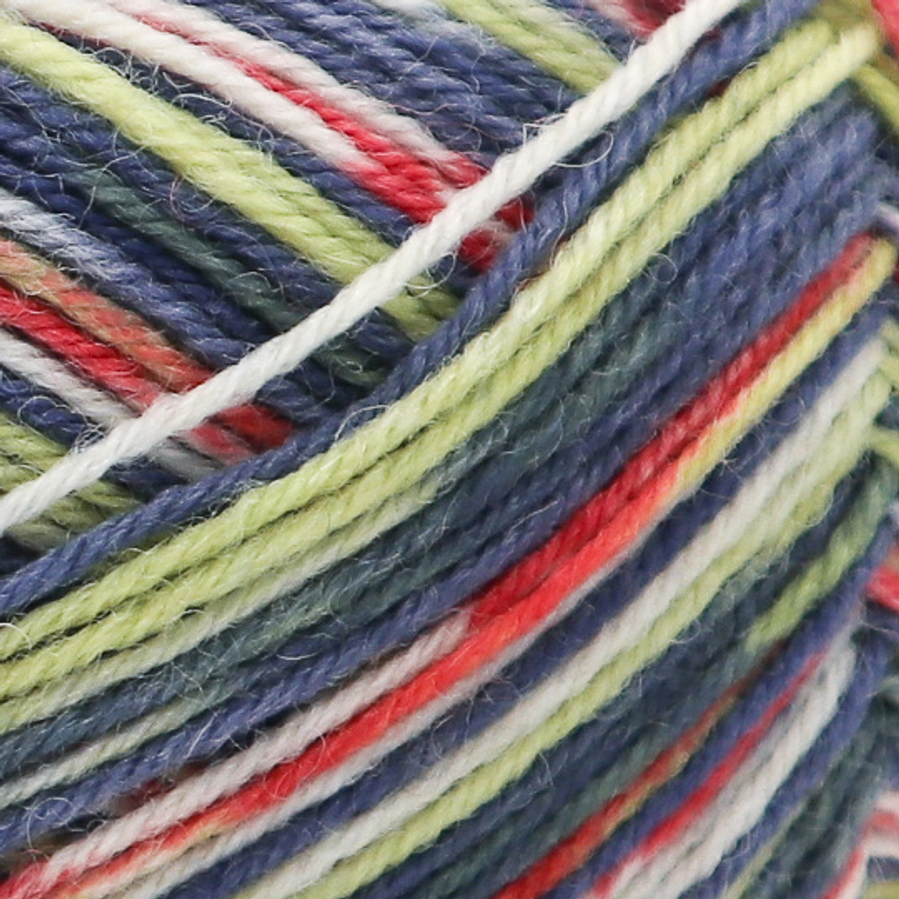 Regia Design Line 4 ply - 03858 (miron color)
