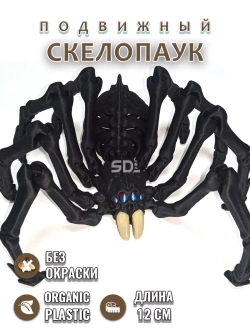Скелет Паук