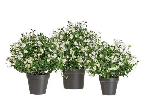 Альпийское разнотравье куст Малый нежно-розовый с белым в-40 см, д-40 см 6/18 20.0224072RS-S