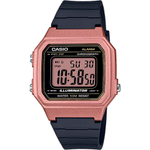 Casio W-217HM-5A