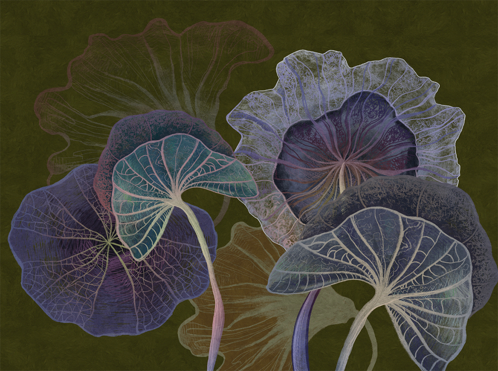 Коллекция SUMMERTIME