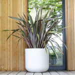 Горшок цветочный EDA GRAPHIT'UP 67 л, диаметр 50 см, белый