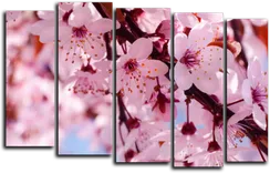 Модульная картина "Цветы вишни"