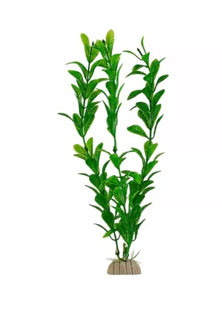 Растение куст лист длинный 4*20см