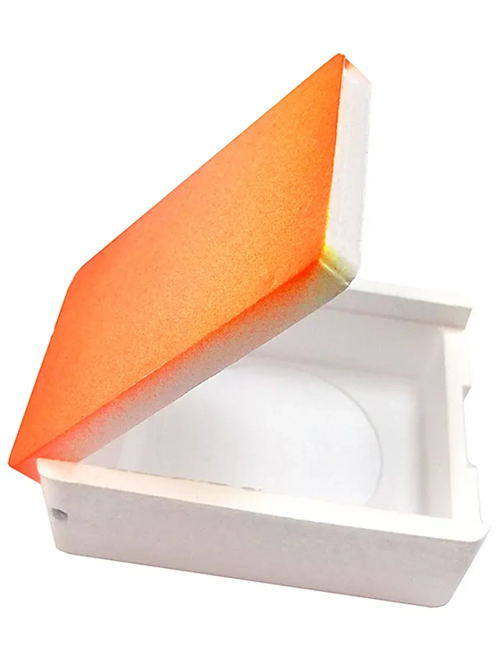 Мотыльница прямоугольная