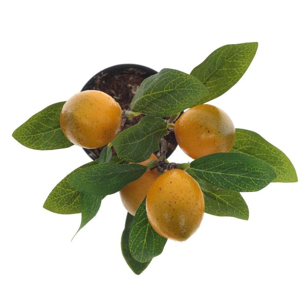 GAEM Дерево искусственное "Лимон", L14 W14 H18 см