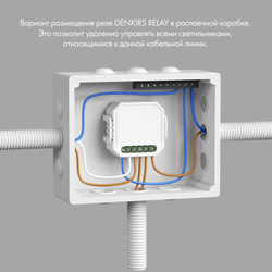 Одноканальное Wi-Fi реле-выключатель Denkirs RL1001-SM