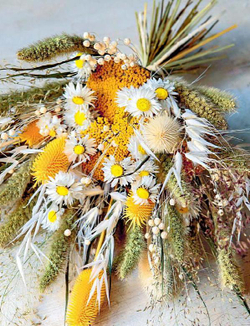 Dried Flowers: Techniques and Ideas for the Modern Home