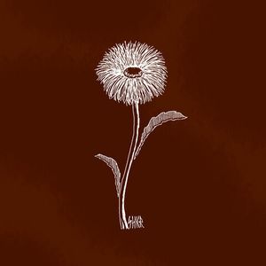 Шкурка для самоката SHKURA PROD. Flower