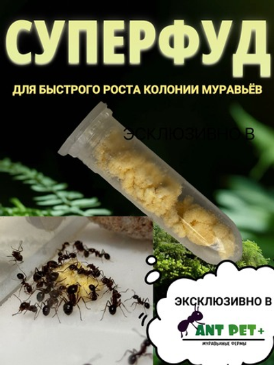 Корм СУПЕРФУД для муравьёв