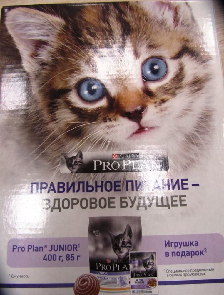 ProPlan JUNIOR Cat 400г.+ 85г + игрушка ПРОМО