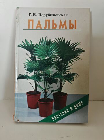 Пальмы (Растения в доме)