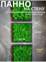Панно из мха набор 3 шт.