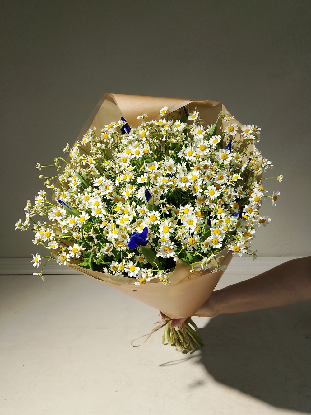 Летний солнечный букет с танацетумом и ароматными пионами Сара Бернард (С0034)