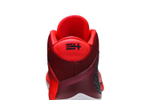Кроссовки Nike Zoom Freak 1 "All Bros Pt.2"