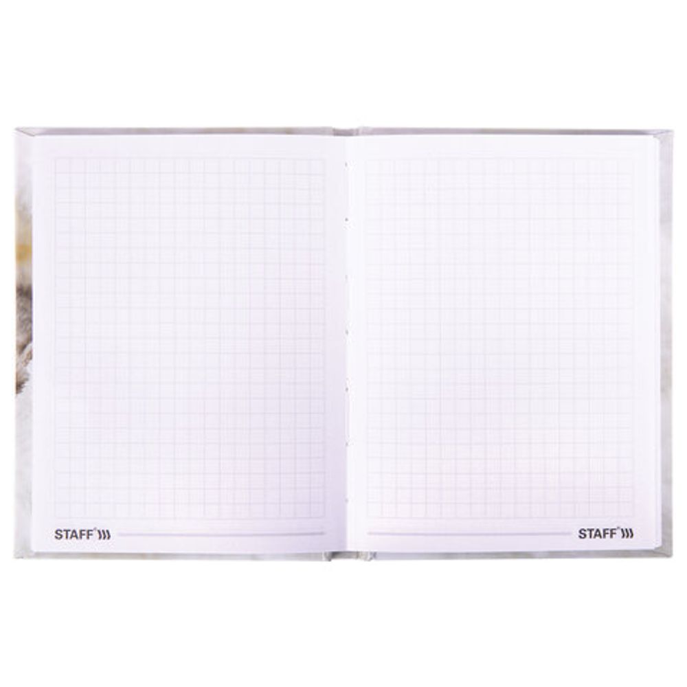 Блокнот МАЛЫЙ ФОРМАТ (110х147 мм), А6, 80 л., твёрдый, клетка, STAFF, "Котики", 114439