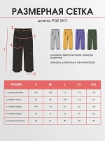 Штаны PRIME - SKY PR02 yellow