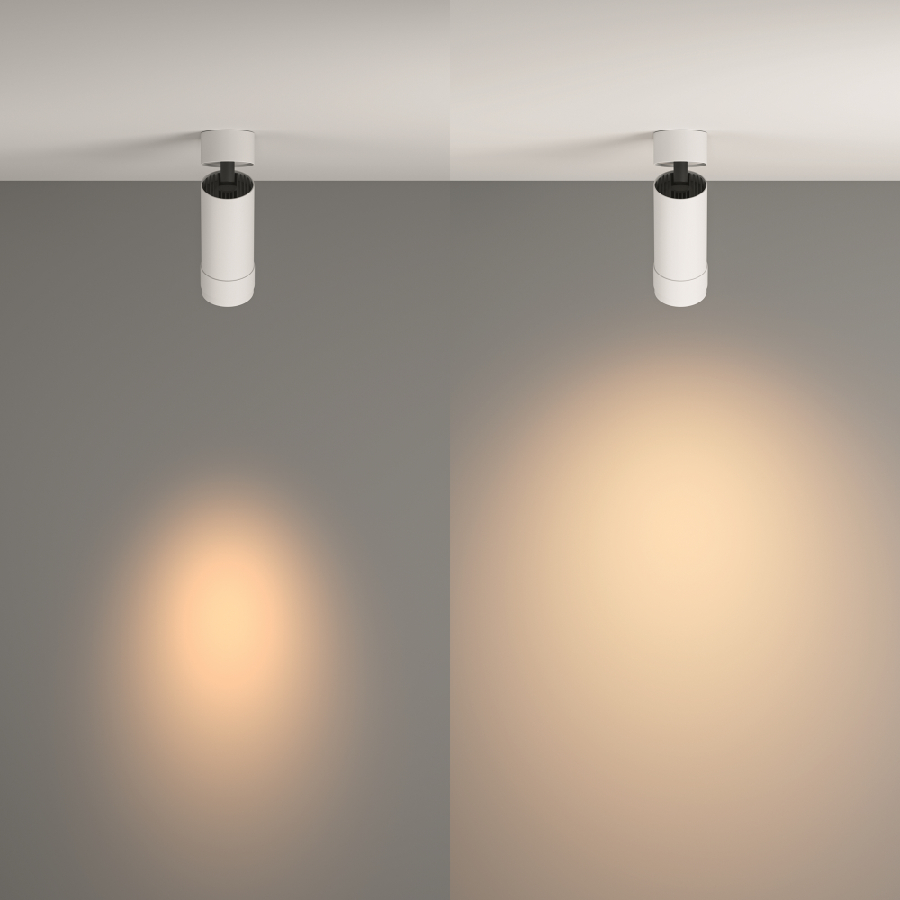 Потолочный светильник Technical C055CL-L12W3K-Z-W