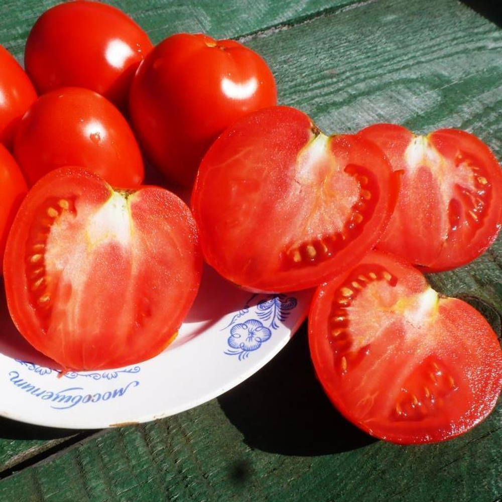 Помидоры - Реликвия из Сочи