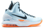 Кроссовки Nike Kd 5 Ice Blue