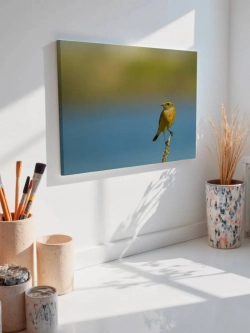 Картина на стену 40 X 50 Птица