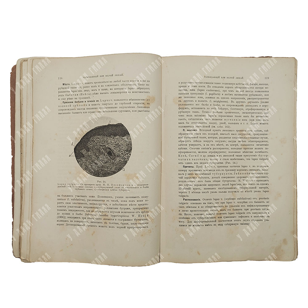 Поспелов А. И. Краткий учебник кожных болезней, 1912.